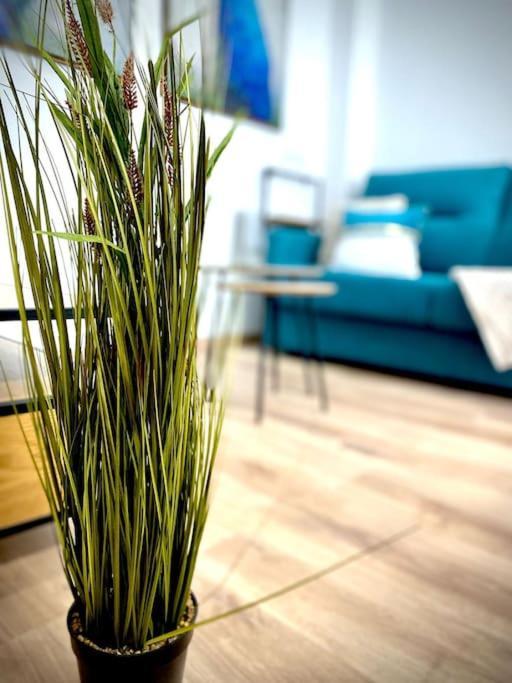 Mychoice Salmarina Apartment Rota Exterior photo